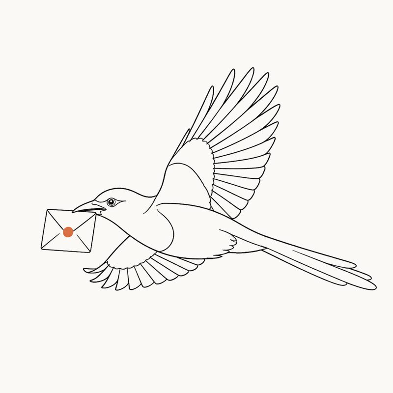 衔着信飞行的报喜喜鹊手绘插画